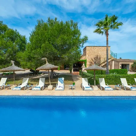Girasols Campos (Mallorca)